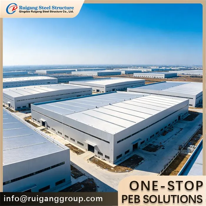 5000 Square Meter Steel Warehouse Building