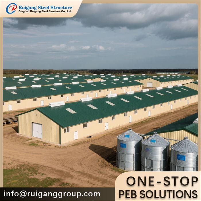 Broiler Chicken House