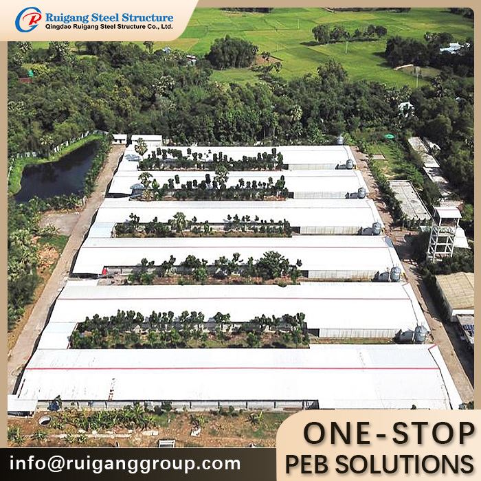 Steel Structure Chicken House Factory Steel Structure Chicken House Factory