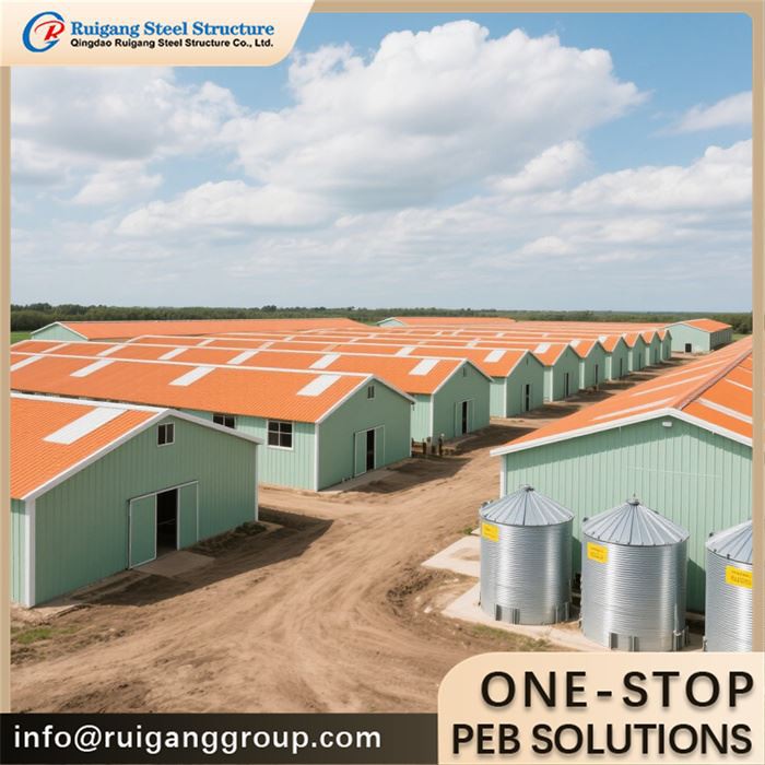 Steel Structure Livestock Shed