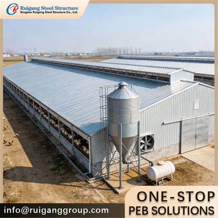 Poultry Chicken Farm