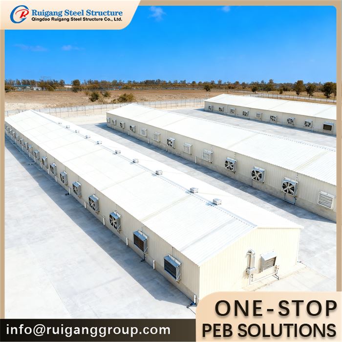 Prefab Steel Broiler Building