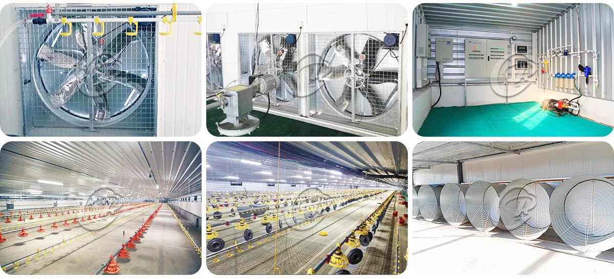 China steel structure building Poultry Chicken Farm China steel structure building Poultry Chicken Farm