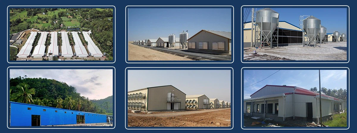low price steel structure building Poultry Chicken Farm low price steel structure building Poultry Chicken Farm
