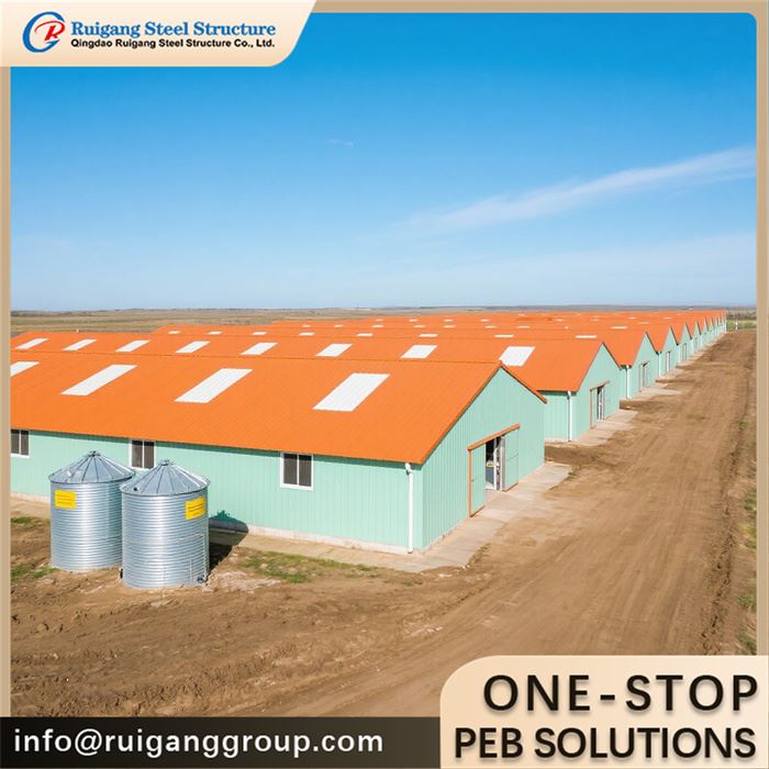 Steel Poultry Farming Shed